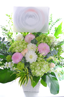 東京の花屋・レコルト　開店祝い