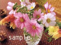 フラワーギフト・レコルト　花のポストカード